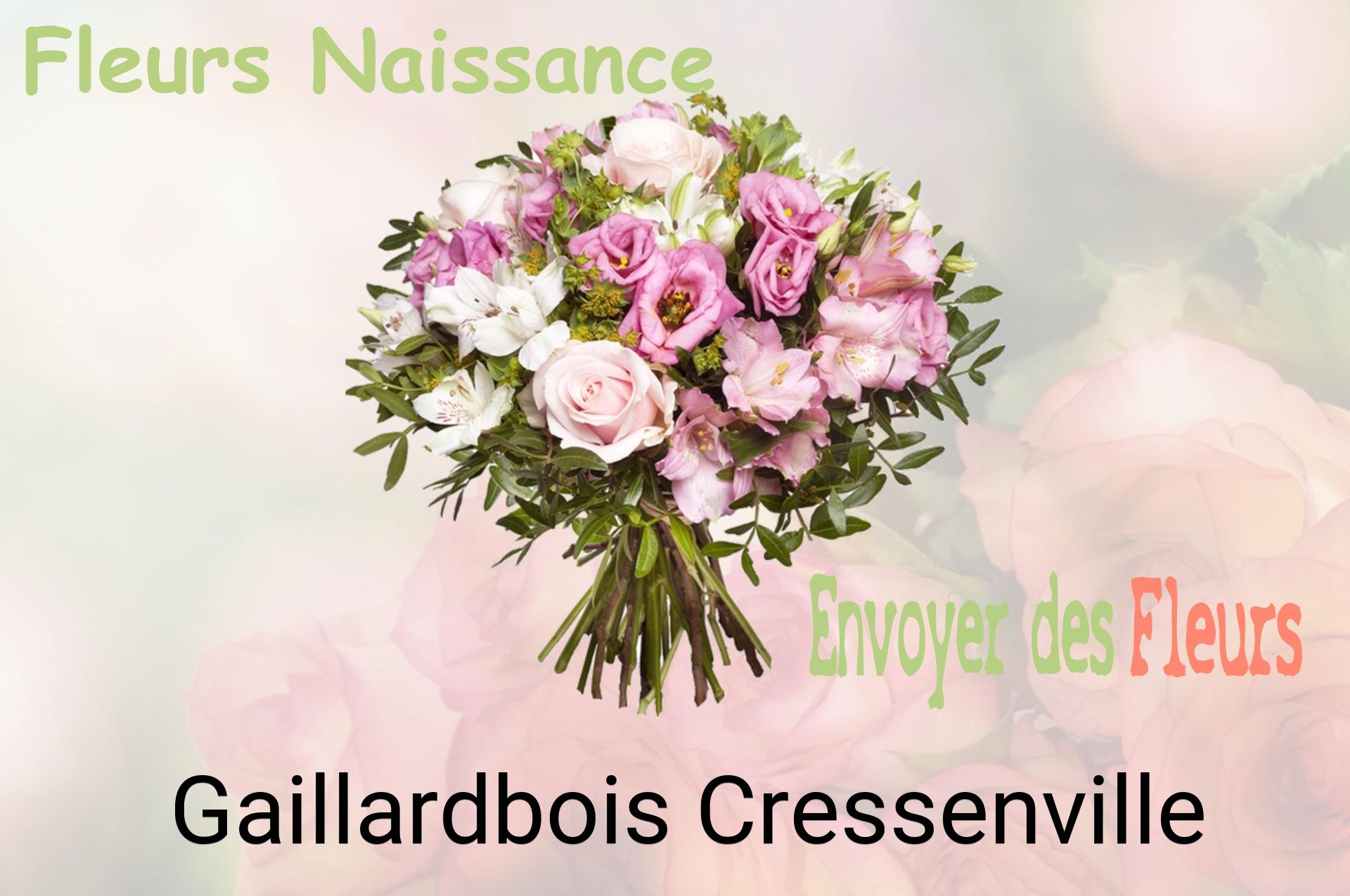 Bouquet de fleurs de naissance livré à Gaillardbois-Cressenville